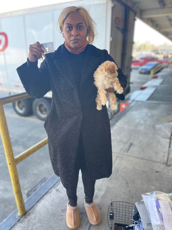 Customer photo of Poodle, Toy puppy from Chavon P.