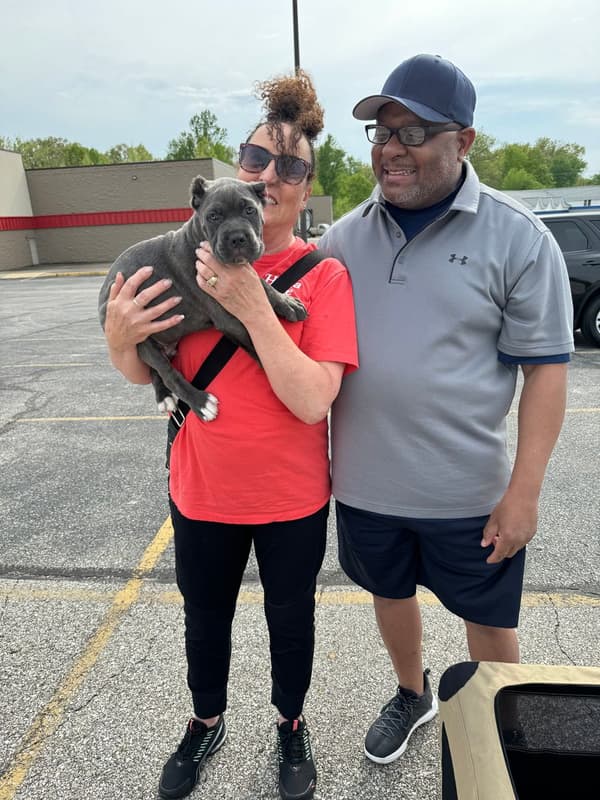 Customer photo of Cane Corso Mastiff puppy from Richard P.