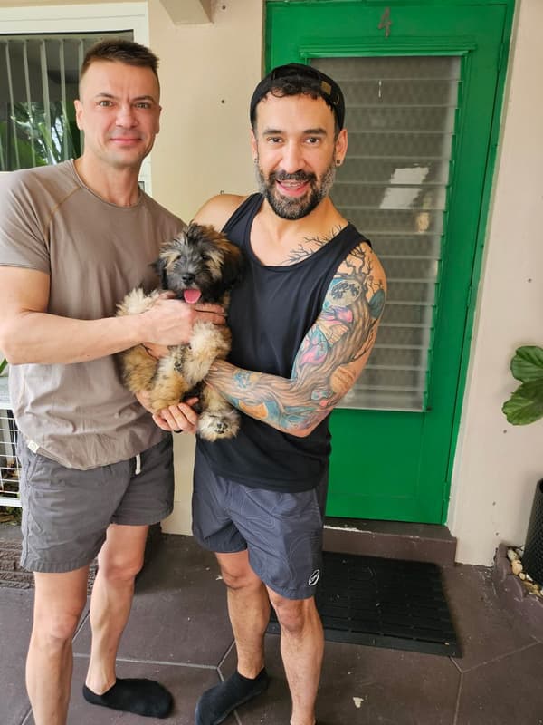 Customer photo of Soft Coated Wheaten Terrier puppy from Benito P.