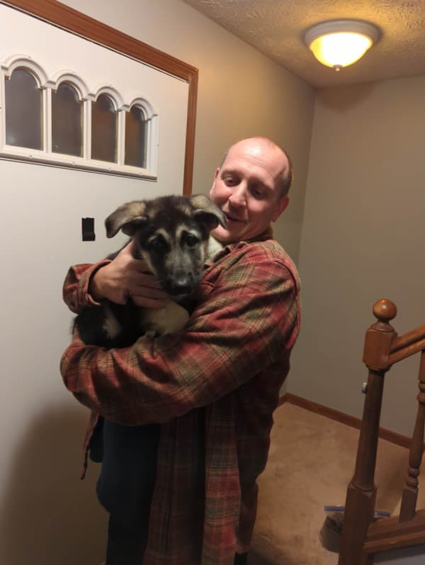 Customer photo of German Shepherd puppy from Robert H.