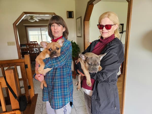 Customer photo of French Bulldog puppy from Elizabeth S.