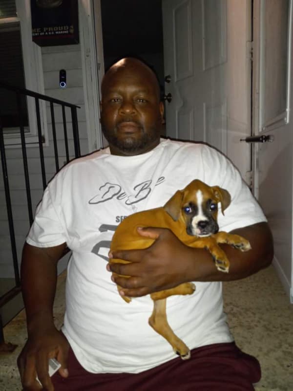 Customer photo of Boxer puppy from Andre D.