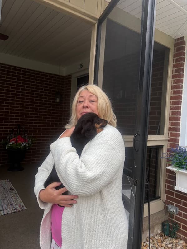 Customer photo of Dachshund, Mini puppy from Jacquelyn B.
