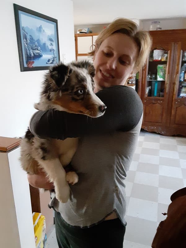 Customer photo of Australian Shepherd puppy from Tawny R.