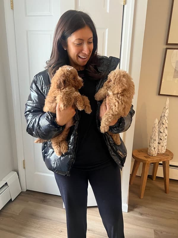 Customer photo of Mixed/Other puppy from Jarrod B.