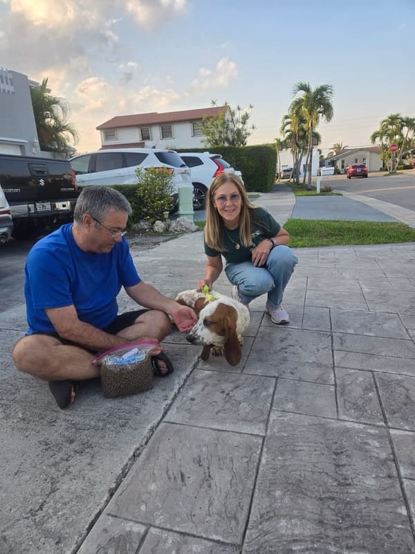 Customer photo of Basset Hound puppy from Yusimid M.