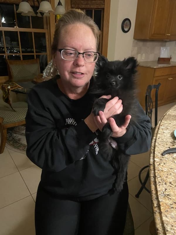 Customer photo of Pomeranian puppy from Dennis H.