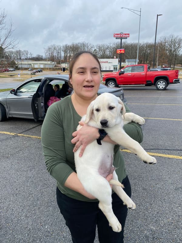 Customer photo of Labrador Retriever puppy from Marilu N. 