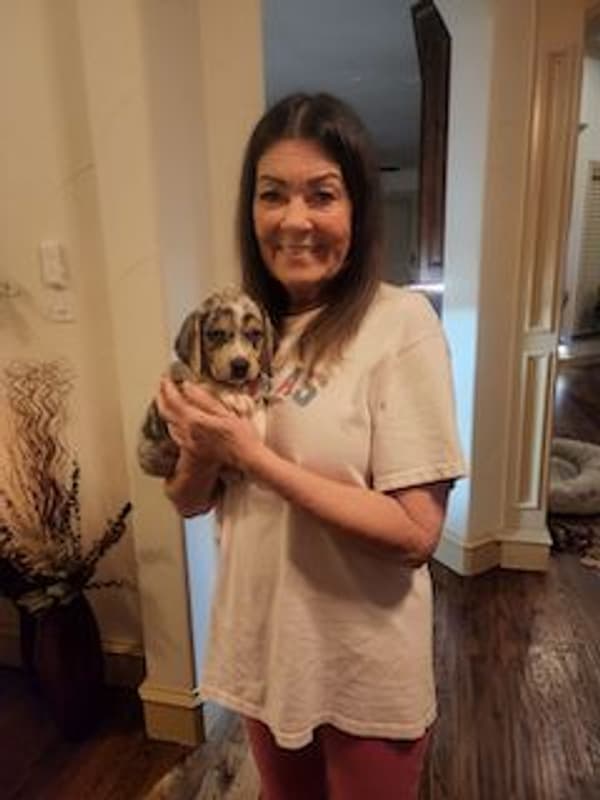 Customer photo of Puggle puppy from Linda V.