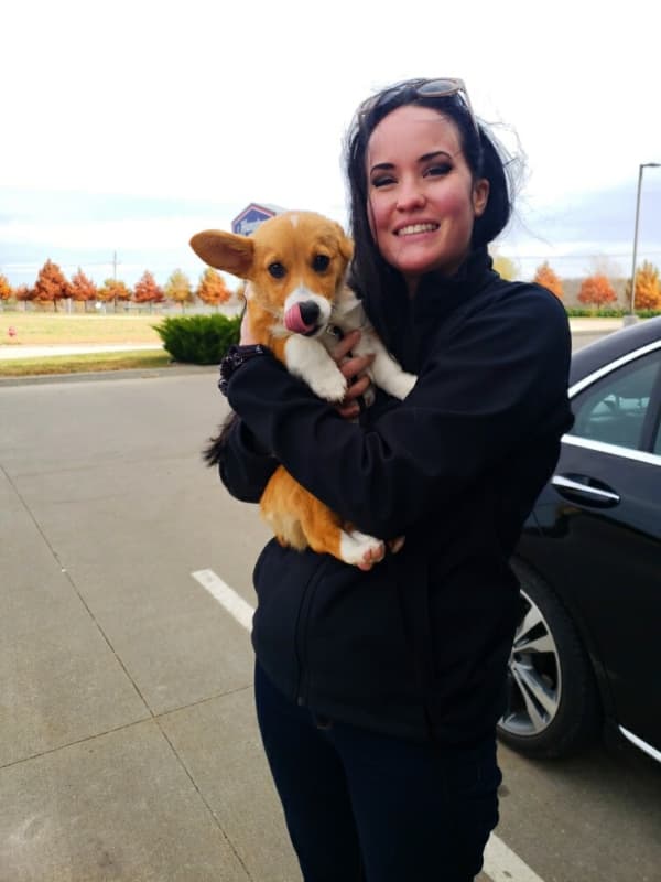 Customer photo of Corgi, Pembroke Welsh puppy from Saydee T. 