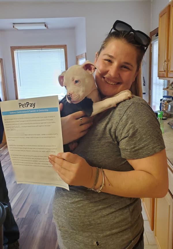 Customer photo of American Bully puppy from Caira S.