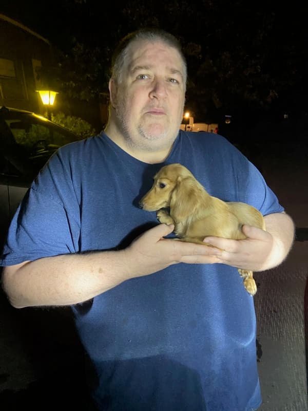 Customer photo of Dachshund, Mini puppy from Mike B.