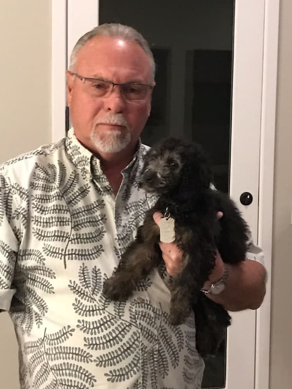 Customer photo of Goldendoodle, Mini puppy from Kent V.