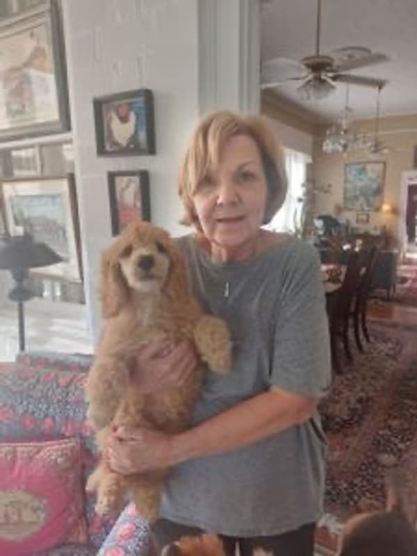 Customer photo of Poodle, Standard puppy from Donna B.