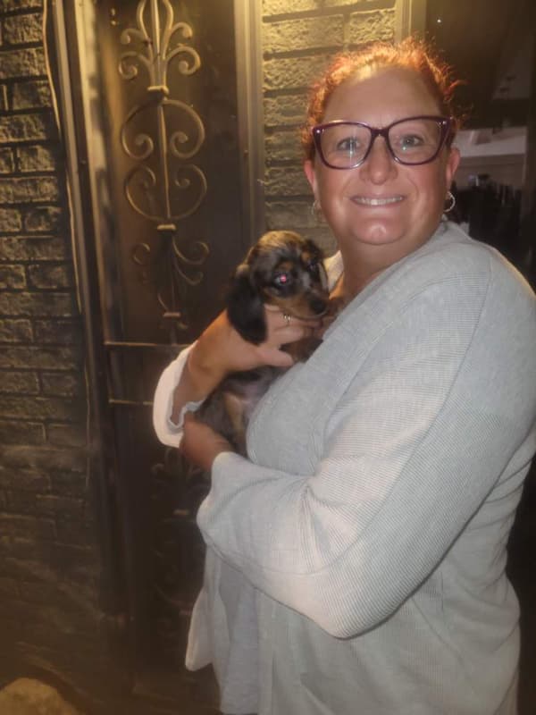 Customer photo of Dachshund, Mini puppy from Heidi M.