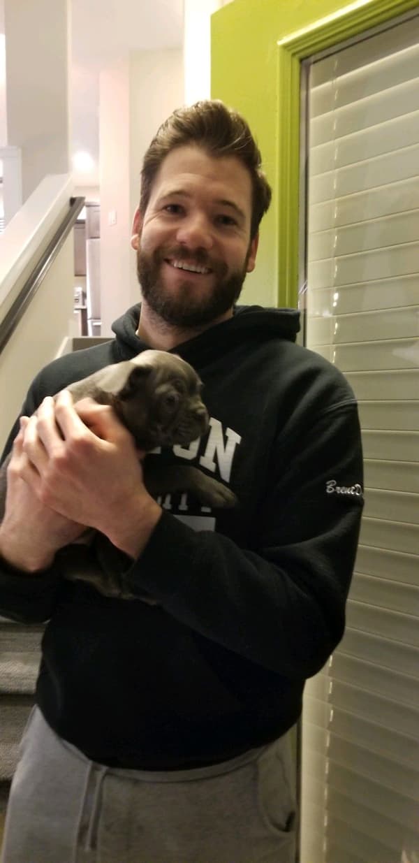 Customer photo of Frenchton puppy from Brent D.