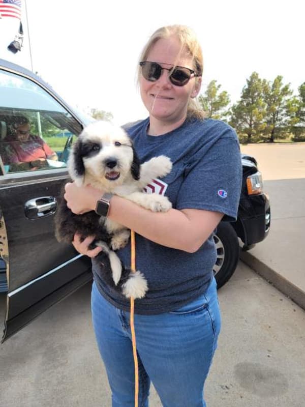 Customer photo of Sheepadoodle puppy from Christian B.