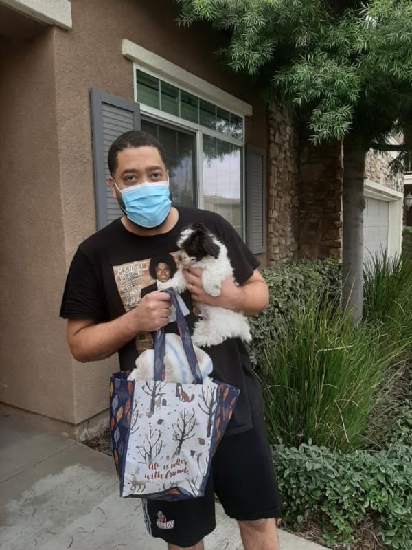 Customer photo of Havanese puppy from Jervae J.