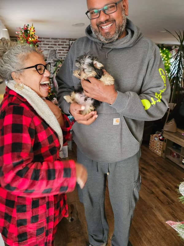 Customer photo of Yorkiepoo - Yorkie Poo puppy from Brandon A.