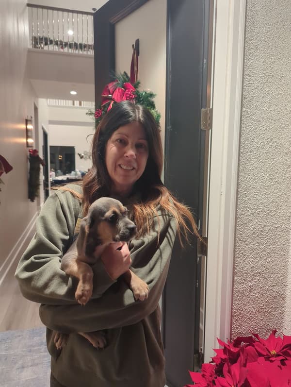 Customer photo of Puggle puppy from Margaret C.