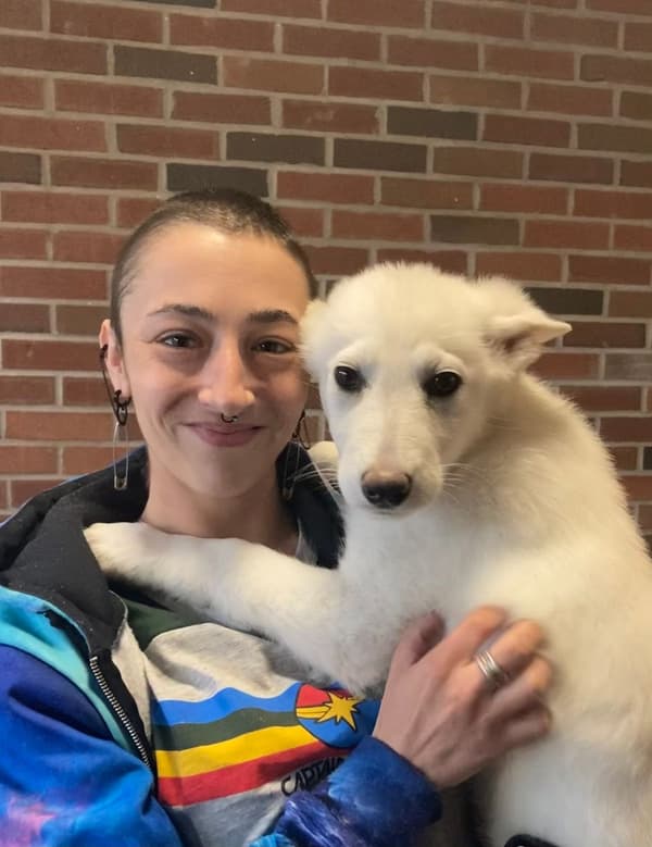 Customer photo of German Shepherd puppy from Nancy H. 