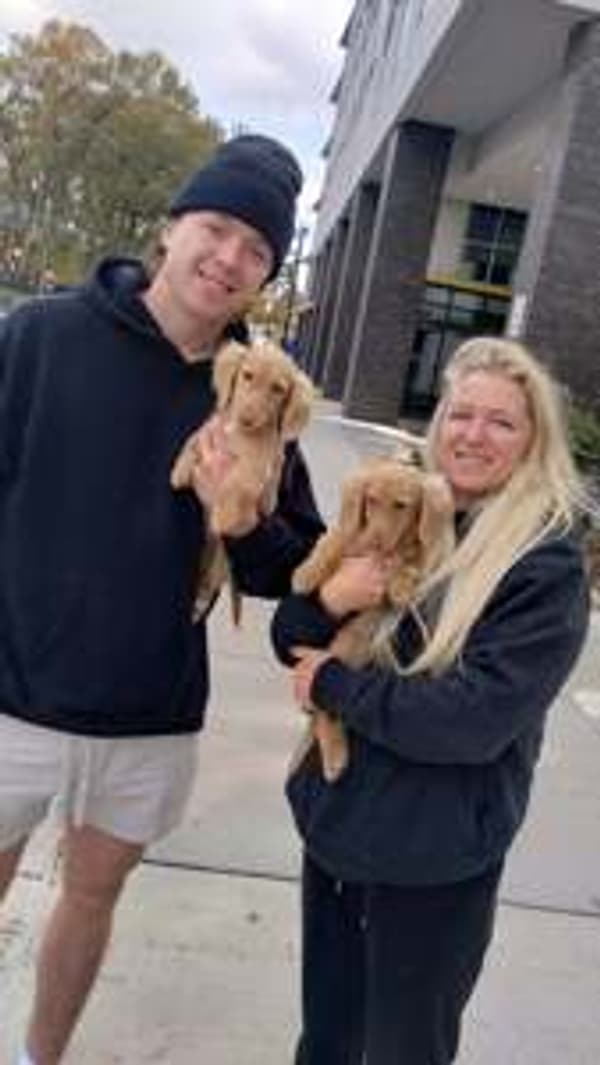 Customer photo of Dachshund, Mini puppy from Ryan M.