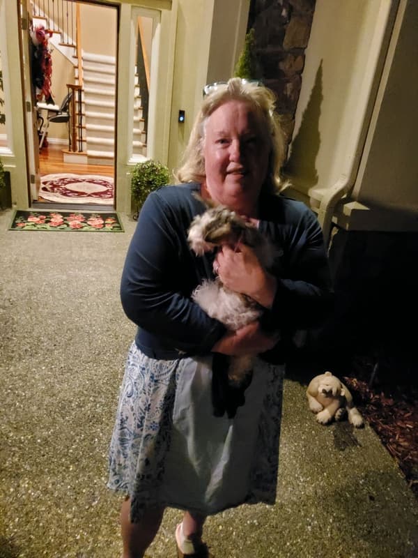 Customer photo of Schnauzer, Miniature puppy from Connie C.