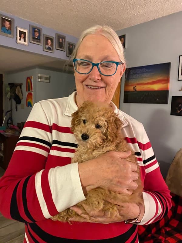 Customer photo of Poodle, Toy puppy from Karen B.