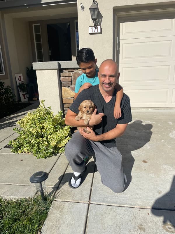 Customer photo of Cavapoo puppy from Charles N.