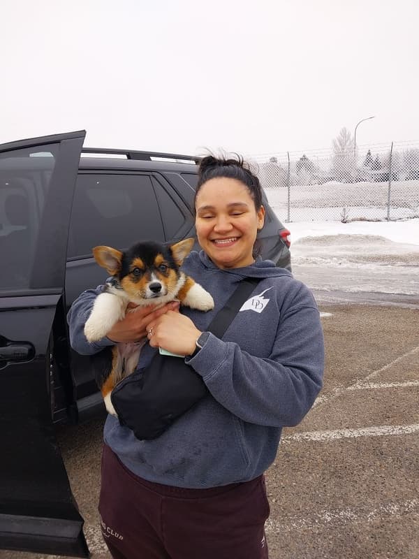Customer photo of Corgi, Pembroke Welsh puppy from Malenie J.