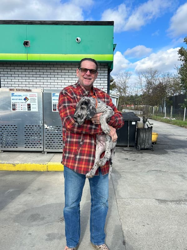 Customer photo of Great Dane puppy from Deedee G.