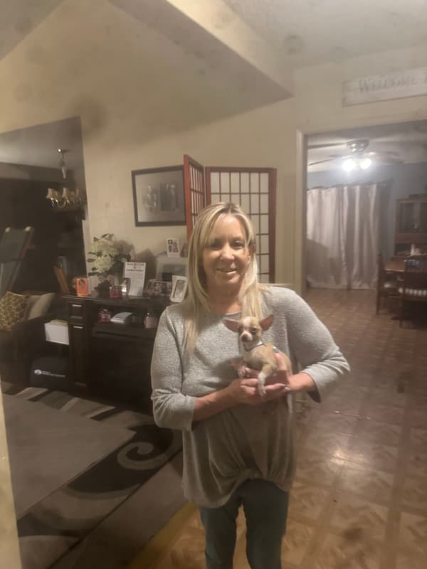Customer photo of Chihuahua puppy from Victoria T.