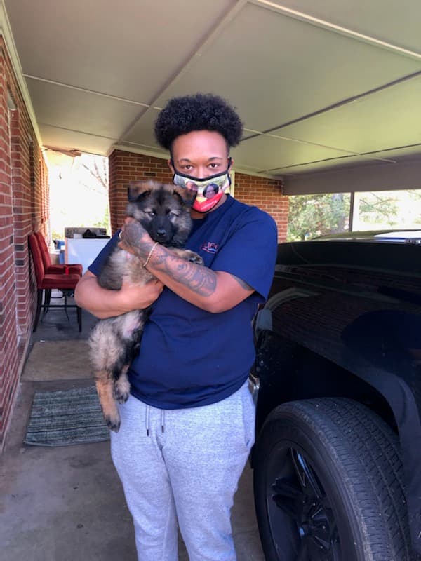 Customer photo of German Shepherd puppy from Chiquita D.