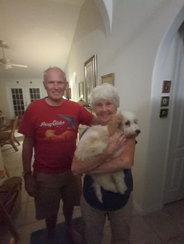 Customer photo of Goldendoodle, Mini puppy from Melanie A.