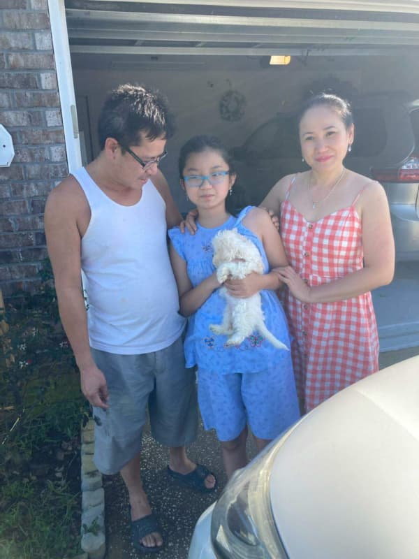 Customer photo of Cockachon puppy from Steven N.