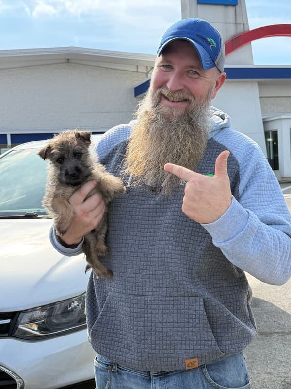 Customer photo of Cairn Terrier puppy from Wes J.