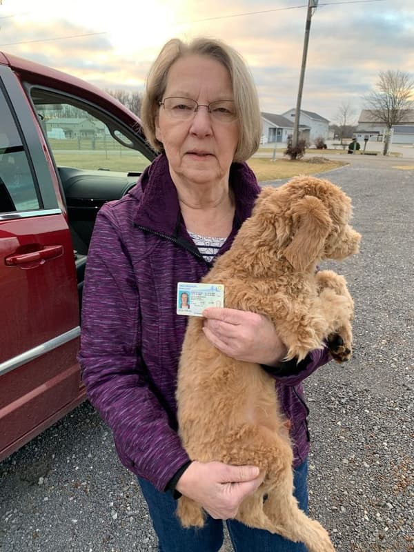 Customer photo of Whoodle puppy from Linette M.