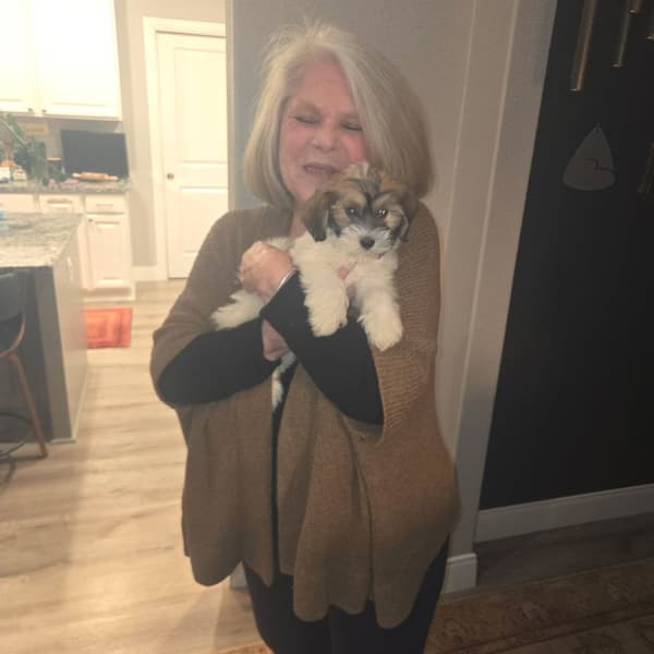 Customer photo of Havanese puppy from Donna W.