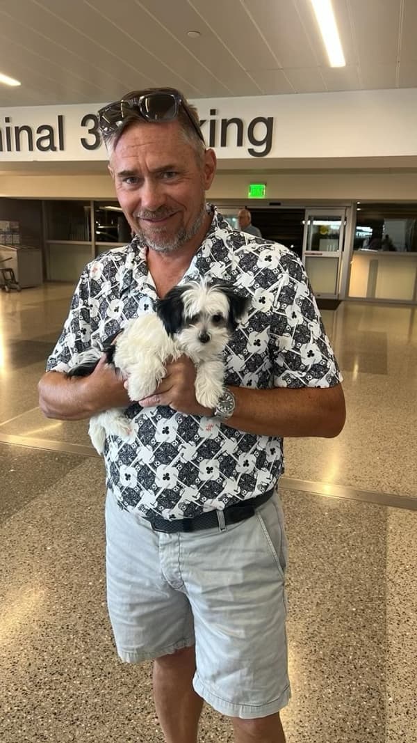 Customer photo of Morkie / Yorktese puppy from Robert D.