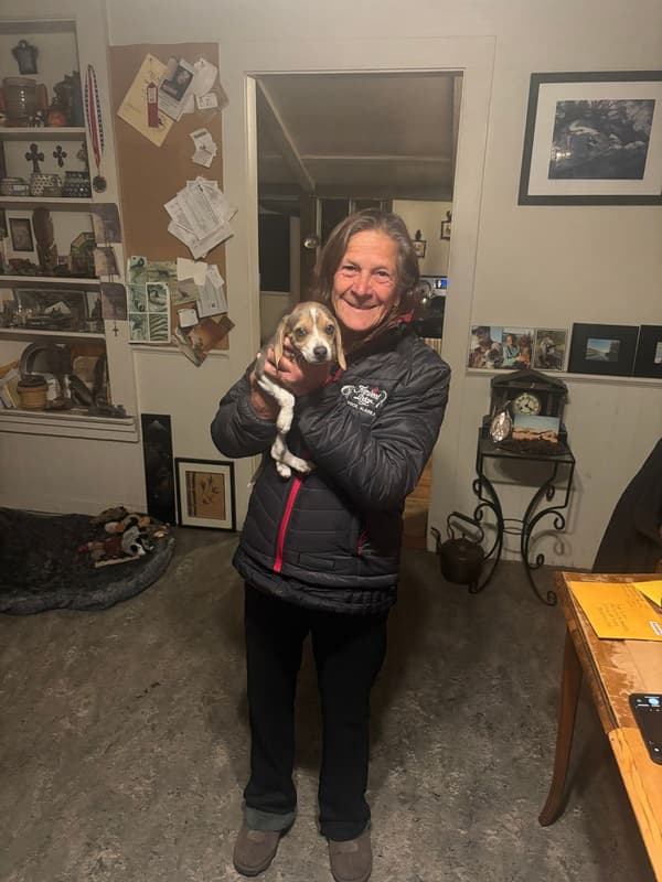 Customer photo of Beagle puppy from Giga C.