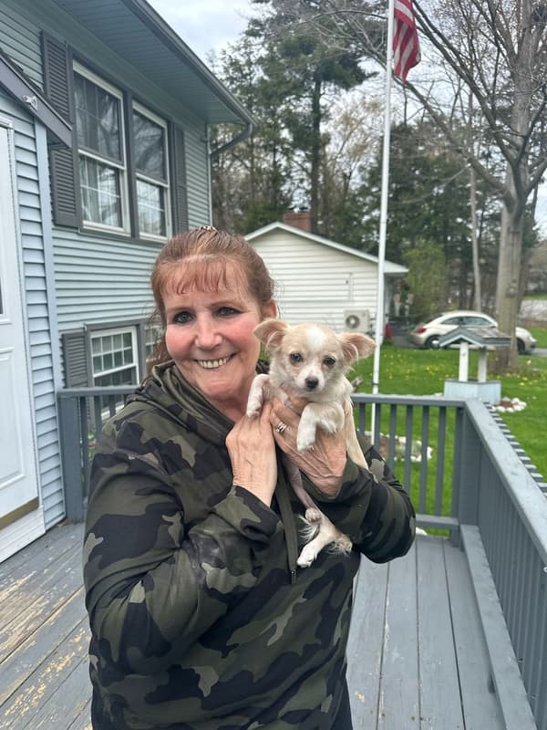 Customer photo of Chihuahua puppy from Sheryl M. 