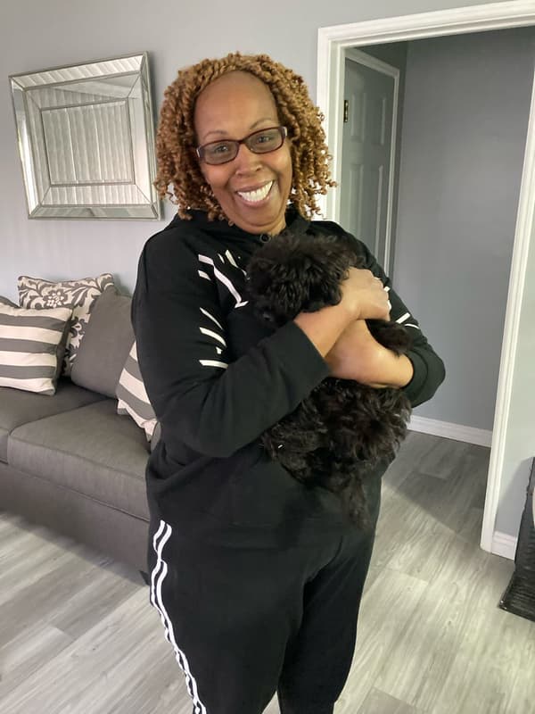 Customer photo of Peekapoo puppy from Angelia S.