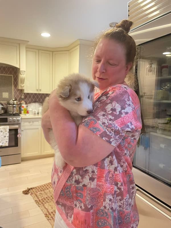 Customer photo of Siberian Husky puppy from Kevin C.