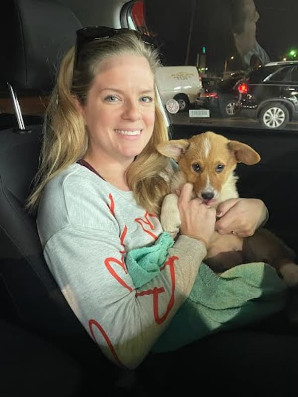 Customer photo of Corgi, Pembroke Welsh puppy from Caitlin O.