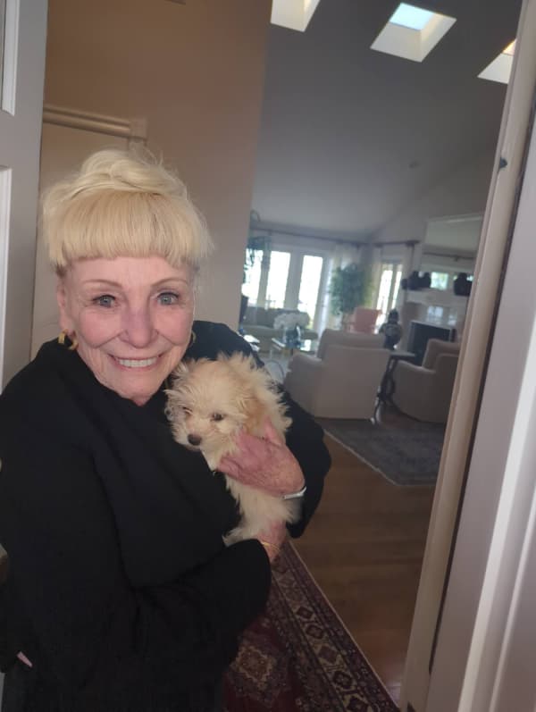 Customer photo of Malti Poo - Maltipoo puppy from Sandra S.