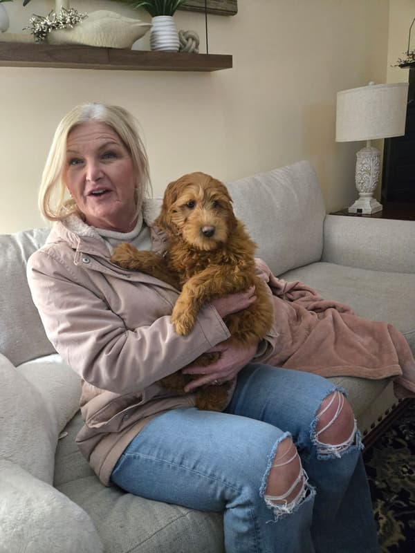 Customer photo of Goldendoodle, Mini puppy from Kevin N.