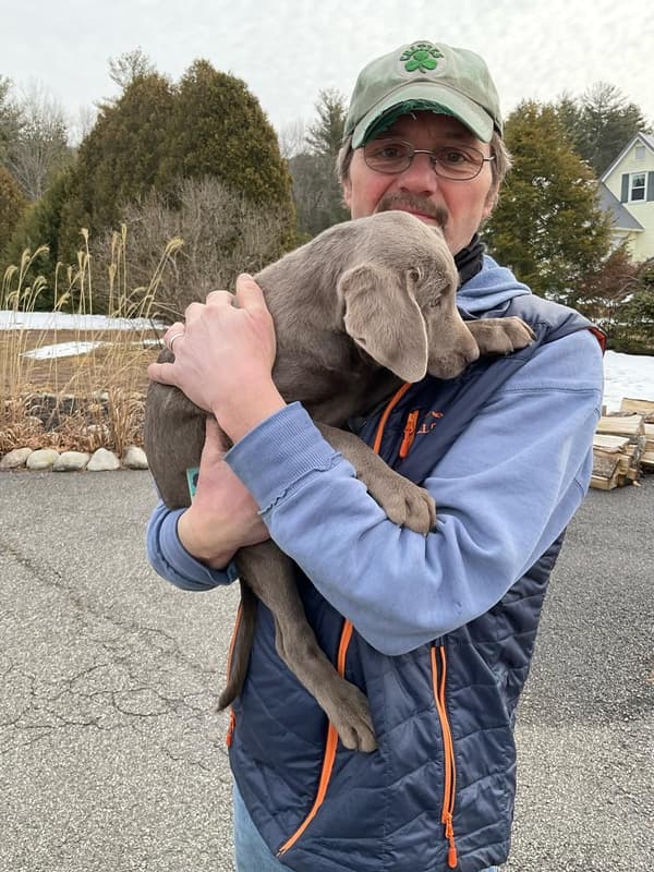 Customer photo of Labrador Retriever puppy from Martin S. 