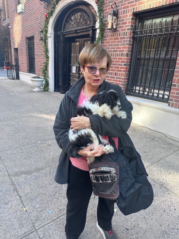 Customer photo of Cavapoo puppy from Joyce L.