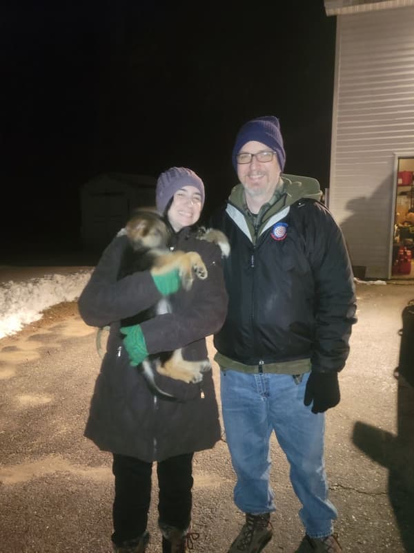 Customer photo of Gerberian Shepsky puppy from Emily C.