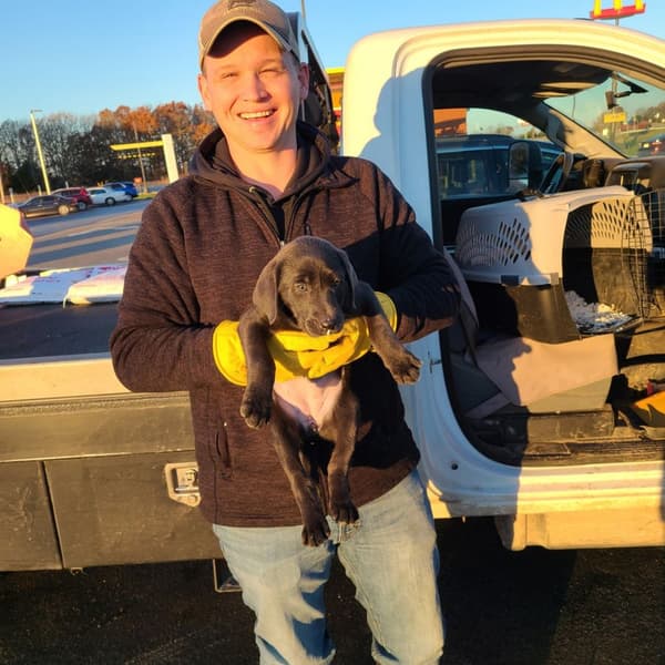 Customer photo of Labrador Retriever puppy from Frances H.